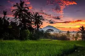 images-1.webp