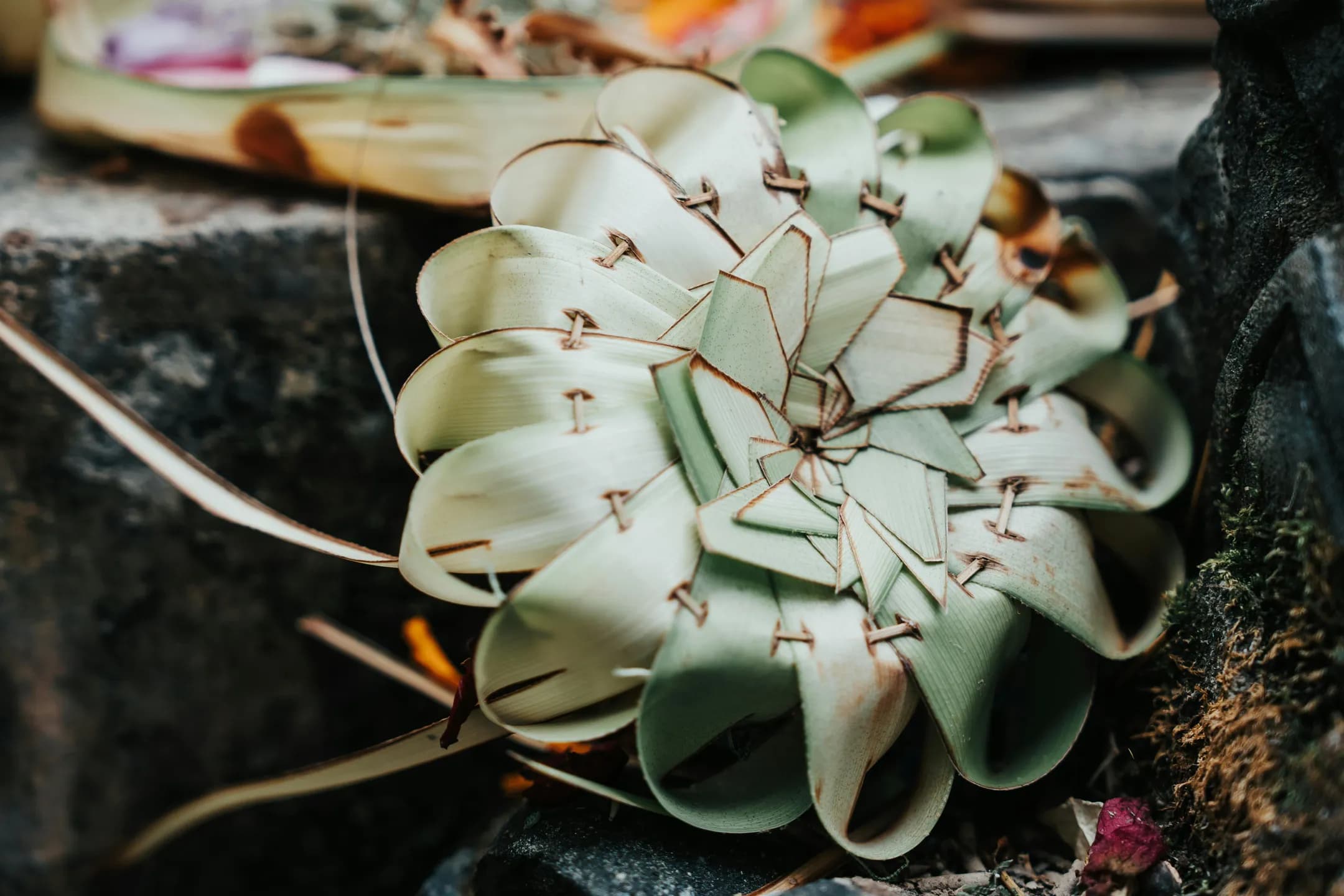 pexels-g-n-403098-27809246.webp