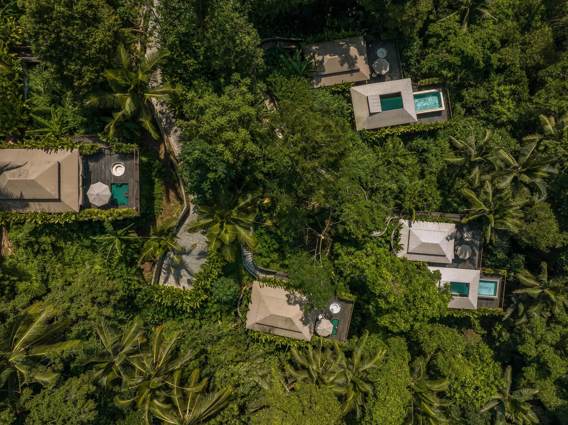 DJI_0154-1