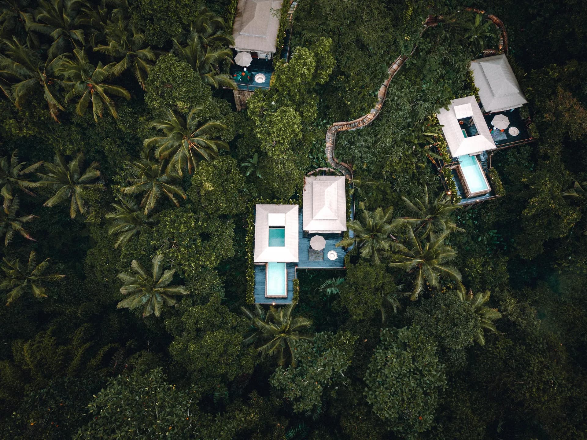 DJI_0911-1